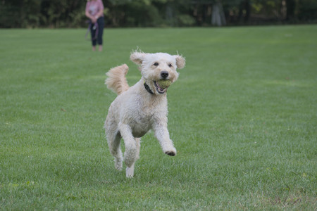 20250913_Dog Park__DSC0386_.jpg