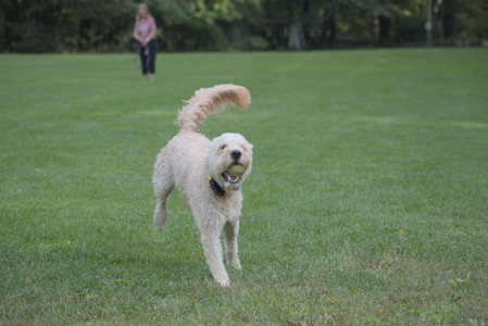 20250913_Dog Park__DSC0387_.jpg