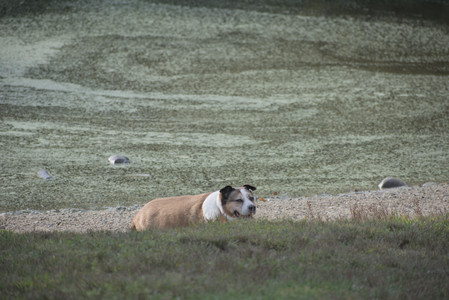 20250913_Dog Park__DSC0391_.jpg