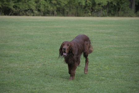 20250913_Dog Park__DSC0421_.jpg