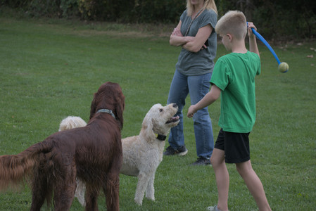 20250913_Dog Park__DSC0427_.jpg