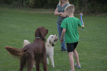 20250913_Dog Park__DSC0429_.jpg