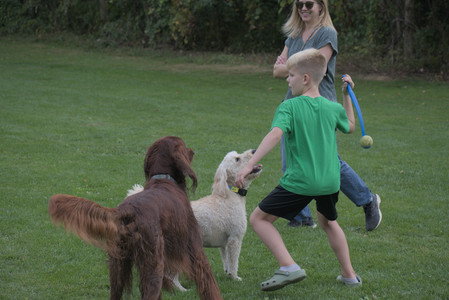 20250913_Dog Park__DSC0431_.jpg