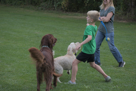 20250913_Dog Park__DSC0432_.jpg