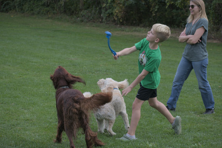 20250913_Dog Park__DSC0433_.jpg