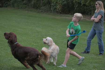 20250913_Dog Park__DSC0434_.jpg