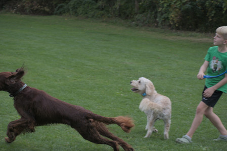 20250913_Dog Park__DSC0435_.jpg