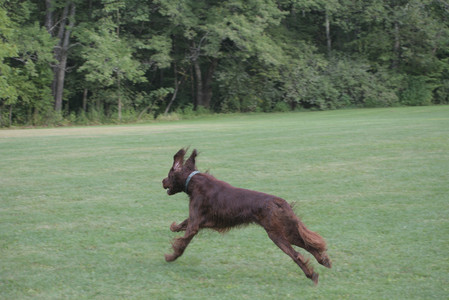20250913_Dog Park__DSC0440_.jpg