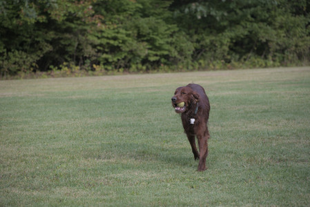 20250913_Dog Park__DSC0452_.jpg