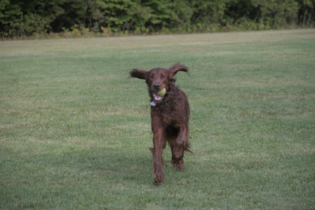 20250913_Dog Park__DSC0453_.jpg
