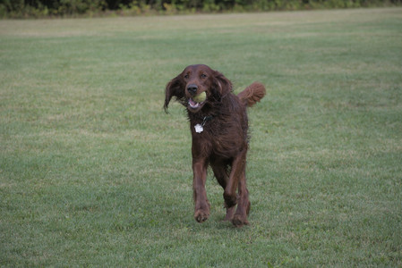 20250913_Dog Park__DSC0455_.jpg