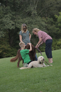 20250913_Dog Park__DSC0534_.jpg