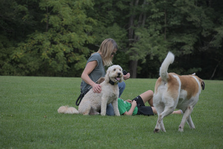 20250913_Dog Park__DSC0568_.jpg