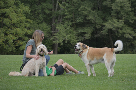 20250913_Dog Park__DSC0573_.jpg