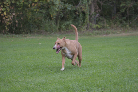 20250913_Dog Park__DSC0588_.jpg