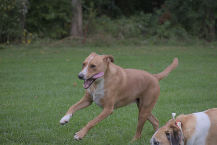 20250913_Dog Park__DSC0592_.jpg