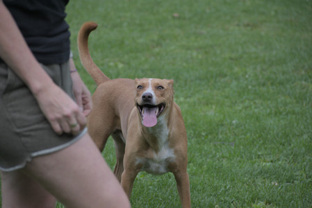 20250913_Dog Park__DSC0596_.jpg