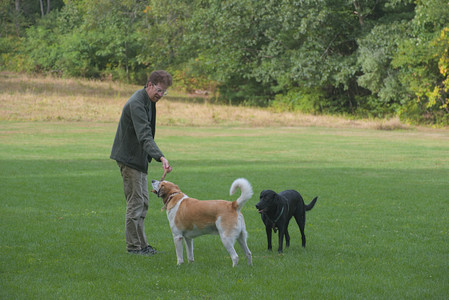 20250916_Dog Park__DSC0073_.jpg