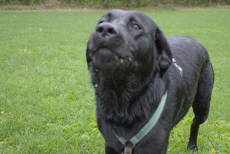 20250916_Dog Park__DSC0079_.jpg