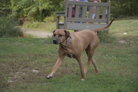 20250916_Dog Park__DSC0086_.jpg