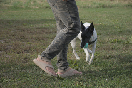 20250916_Dog Park__DSC0091_.jpg