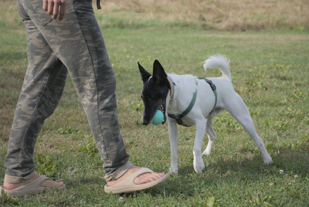 20250916_Dog Park__DSC0092_.jpg
