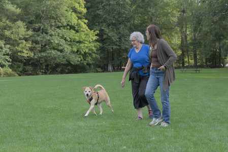 20250916_Dog Park__DSC0095_.jpg