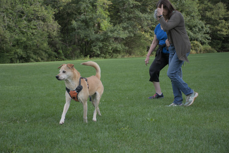 20250916_Dog Park__DSC0096_.jpg