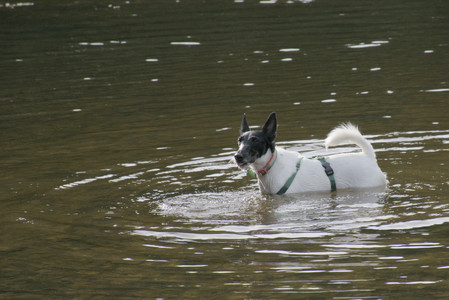 20250916_Dog Park__DSC0104_1.jpg