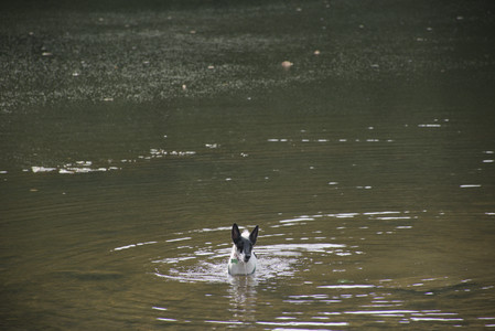 20250916_Dog Park__DSC0105_.jpg