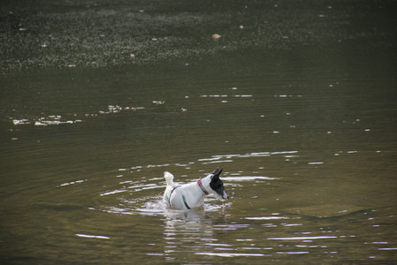20250916_Dog Park__DSC0106_.jpg