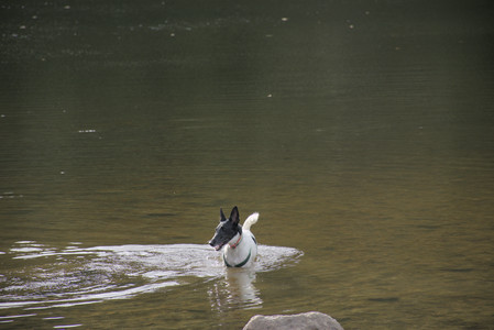 20250916_Dog Park__DSC0108_.jpg
