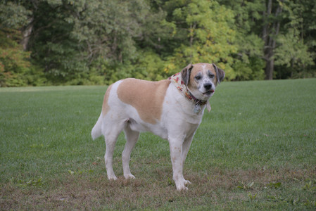 20250916_Dog Park__DSC0120_.jpg