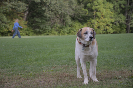 20250916_Dog Park__DSC0122_.jpg