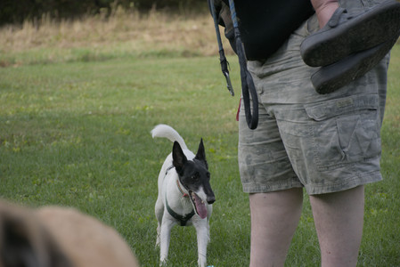 20250916_Dog Park__DSC0138_.jpg