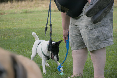 20250916_Dog Park__DSC0139_.jpg