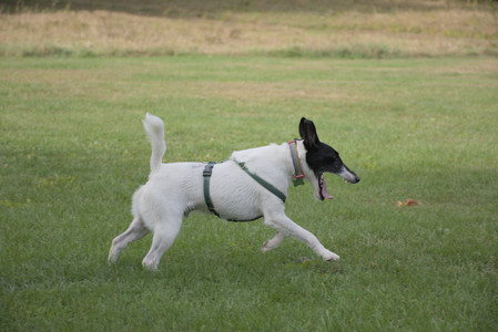 20250916_Dog Park__DSC0140_.jpg
