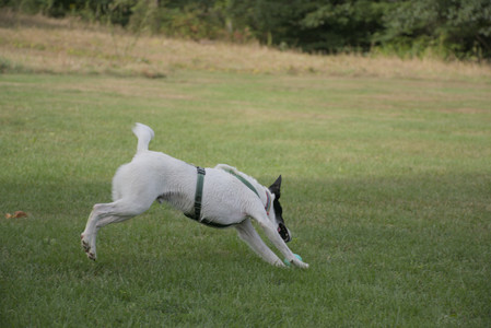 20250916_Dog Park__DSC0141_.jpg