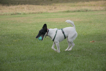 20250916_Dog Park__DSC0142_.jpg