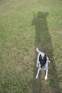 20250916_Dog Park__DSC0147_.jpg