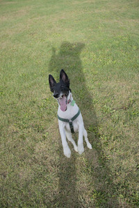 20250916_Dog Park__DSC0148_.jpg