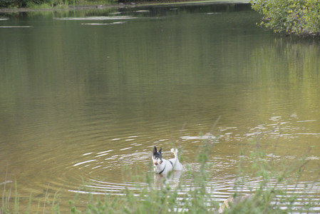20250916_Dog Park__DSC0155_.jpg