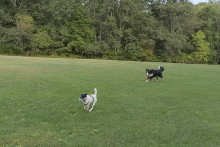 20250916_Dog Park__DSC0159_.jpg