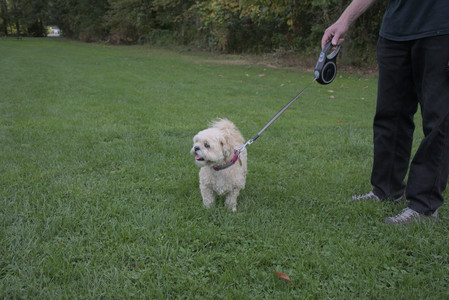 20250916_Dog Park__DSC0164_.jpg