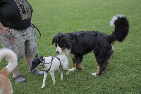 20250916_Dog Park__DSC0170_.jpg