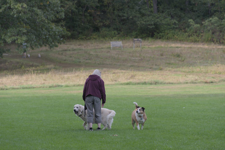 20250916_Dog Park__DSC0174_.jpg
