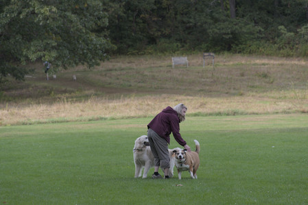 20250916_Dog Park__DSC0176_.jpg