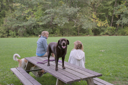 20250917_Dog Park__DSC0034_.jpg