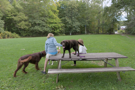 20250917_Dog Park__DSC0036_.jpg