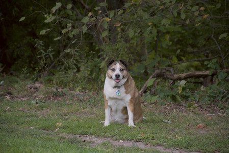 20250917_Dog Park__DSC0044_.jpg